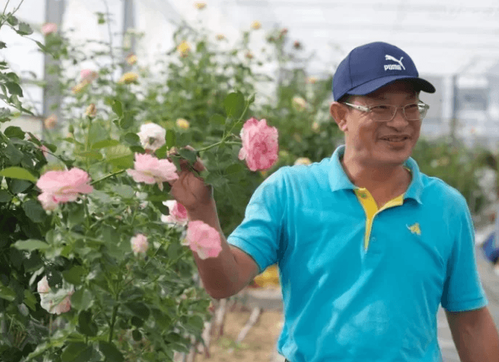 可以吃的花瓣！ 走入有機樹輕柔空間 「曙光玫瑰莊園」純淨香氛世界