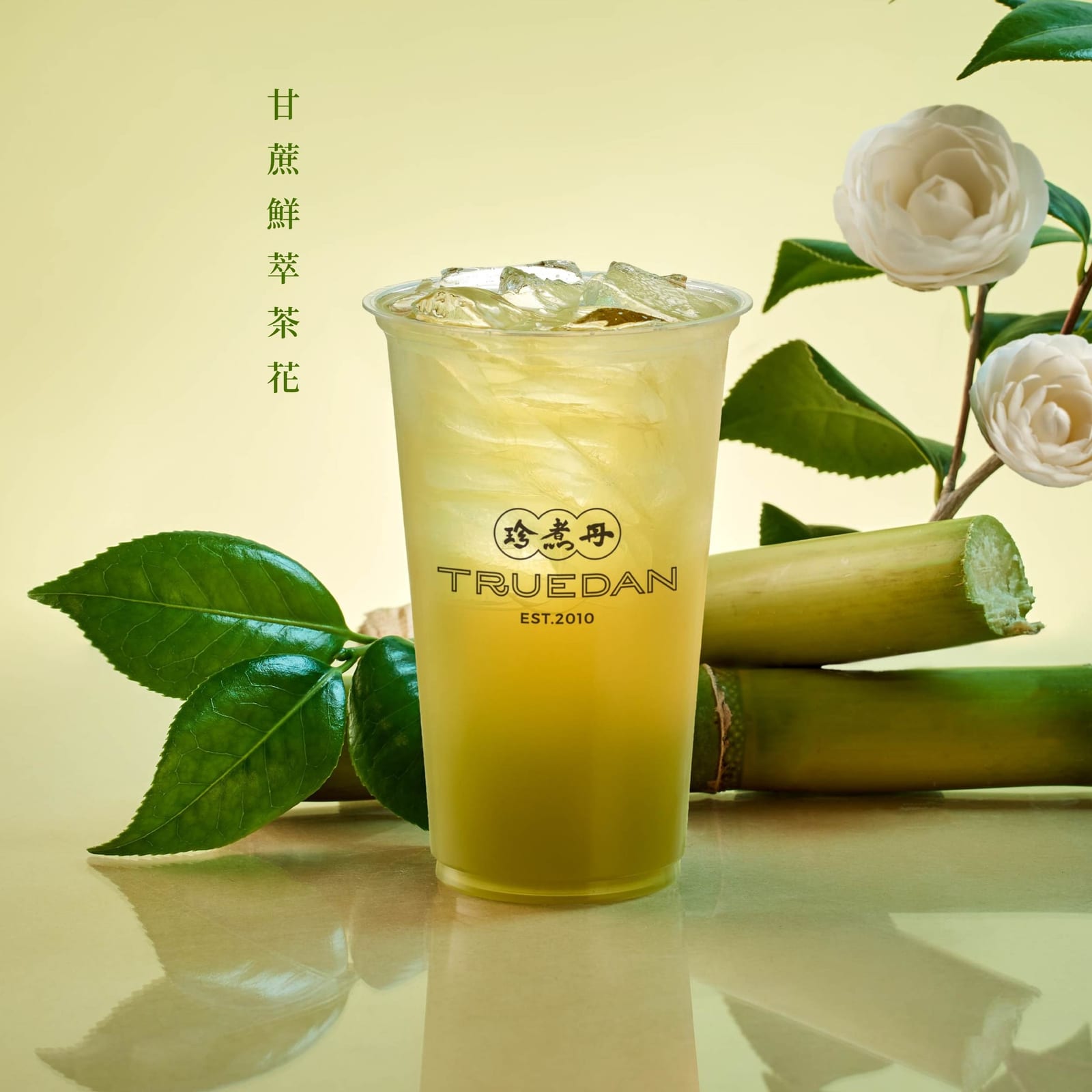 珍煮丹2023年度山茶花系列飲品，春日花香盛放