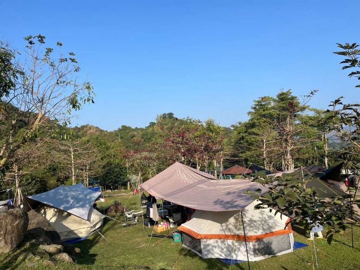 臺南露營新風潮正夯,帶您體驗自然與文化的雙重魅力