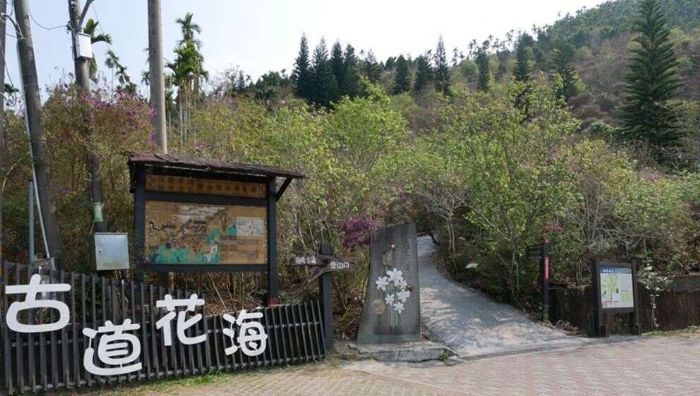 冬日暖陽適宜戶外踏青,到臺南登山吃美食賞美景