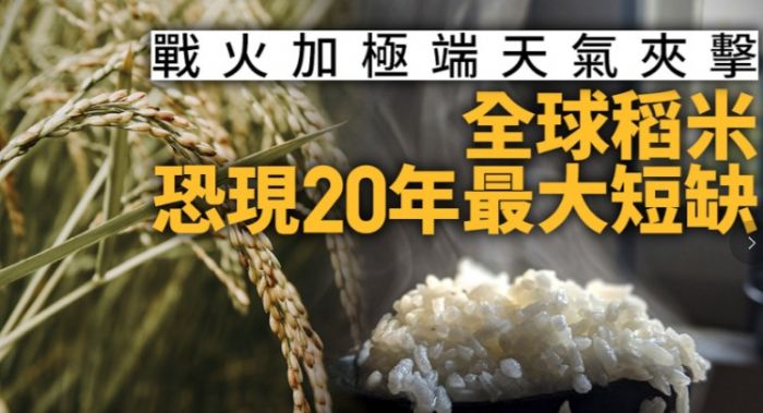 全球稻米遇20年最大短缺 烏戰與極端氣候恐推高米價至明年