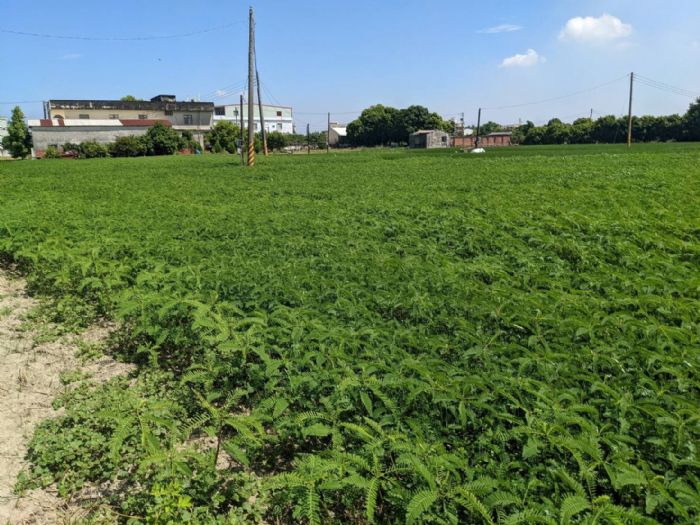 113年「綠色環境給付計畫」即將截止申報 請農友把握期限