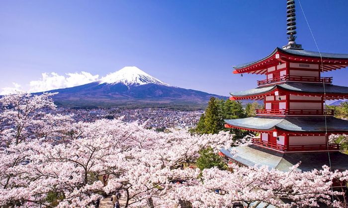 日本擬修改免稅制度,計劃實施「先付後退」,預計將在2025年度後生效