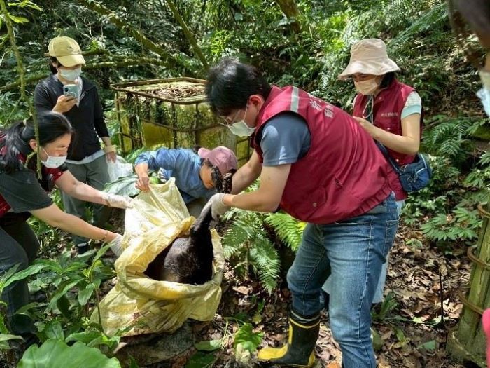 新北市查獲非法犬隻繁殖場，重罰116萬，強化動物保護