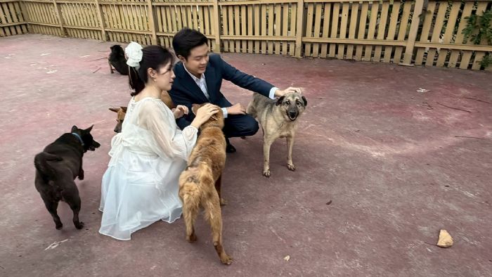 在婚紗與毛孩笑容之間，看見愛與責任：一對新人用鏡頭為流浪動物發聲