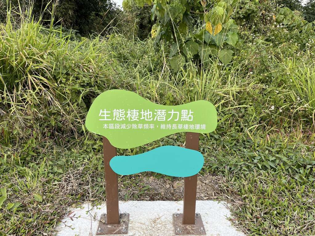 觀音湖煥然一新！9,000萬打造生態休閒新亮點，螢火蟲季節即將登場