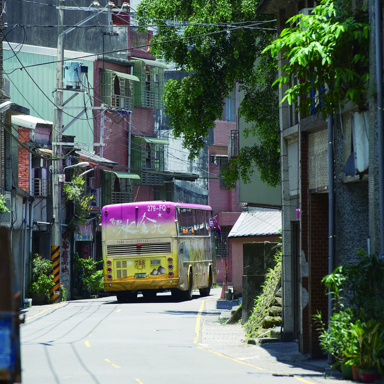風華再現的   淡蘭古道 I
