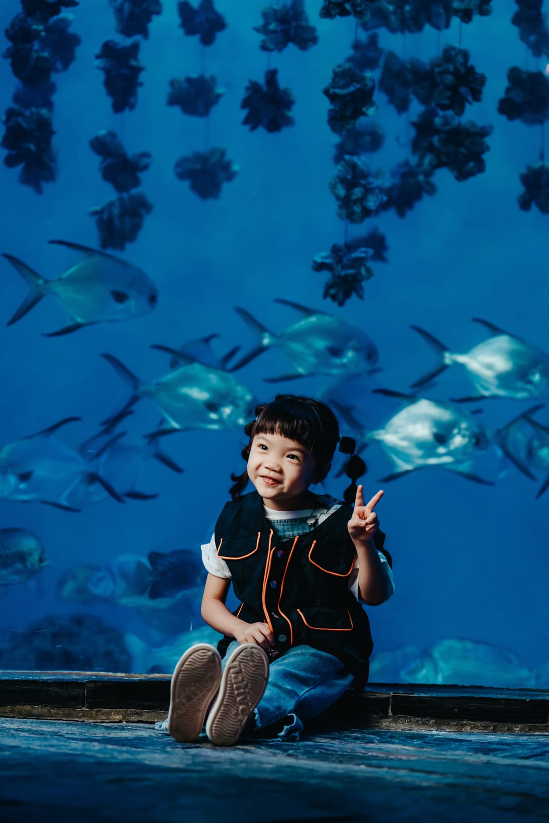 《歡迎光臨我的海生館!》發掘不同視角重新探索海生館