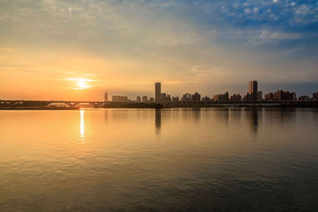 延平河濱夢幻花海迎聖誕 蒲公英燈夜景浪漫爆表