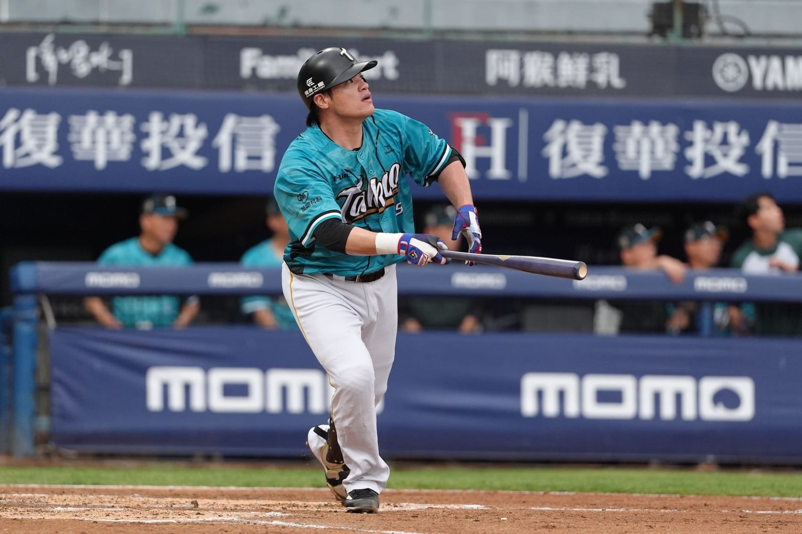 台鋼雄鷹連勝不止，火力全開再創紀錄