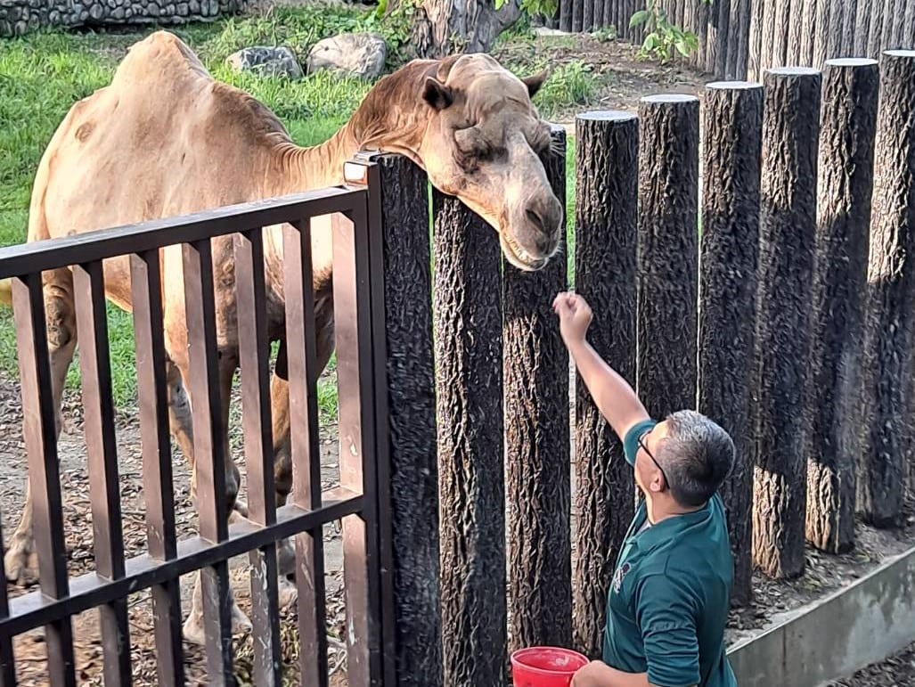 壽山動物園的超級奶爸們：給予動物最溫暖的呵護，享專屬活動！
