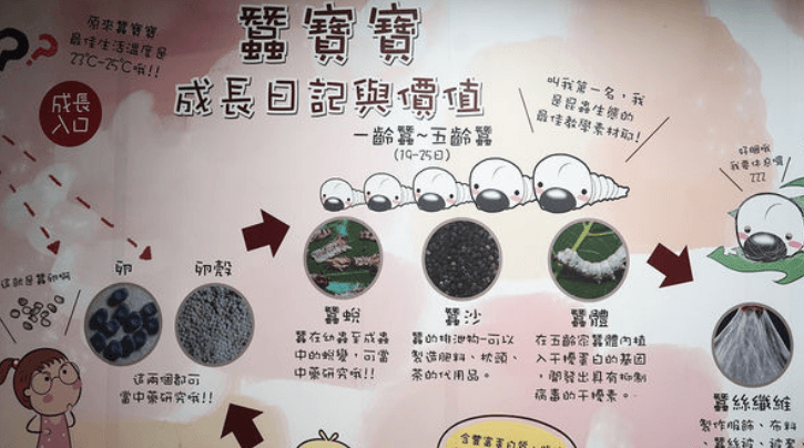 高雄雨天必訪！藍色海洋世界、3D彩繪畫面震撼，免費導覽+下午茶體驗，CP值超高景點「高雄時空之城」等你探索！