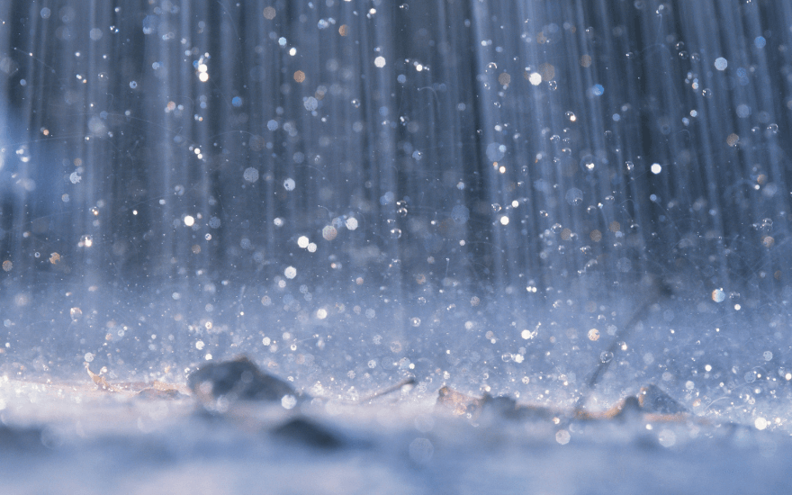 快樂度過梅雨季：居家防潮防霉全攻略
