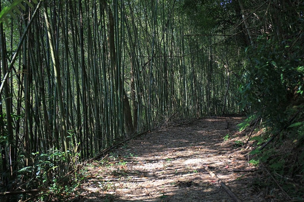 高雄市旅行公會2024國際旅展與臺北國際觀光博覽會：安全出遊好康不錯過！