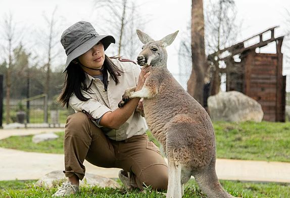 宜蘭最新千坪景點「蘭陽動植物王國」2/8試營運，全台獨家袋鼠互動區！水豚划船、親人羊駝、駱馬等精彩互動體驗