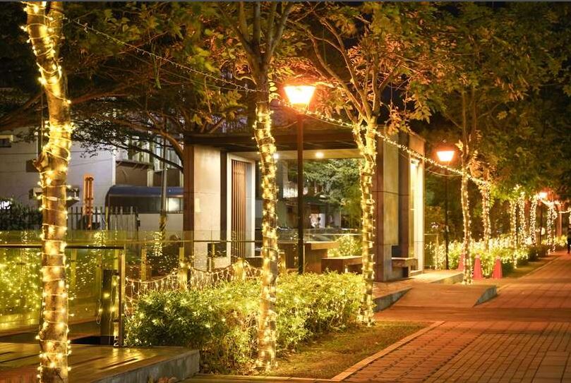 台南聖誕燈節新營燈區點燈　玖壹壹、郭書瑤領銜草地音樂會27日登場