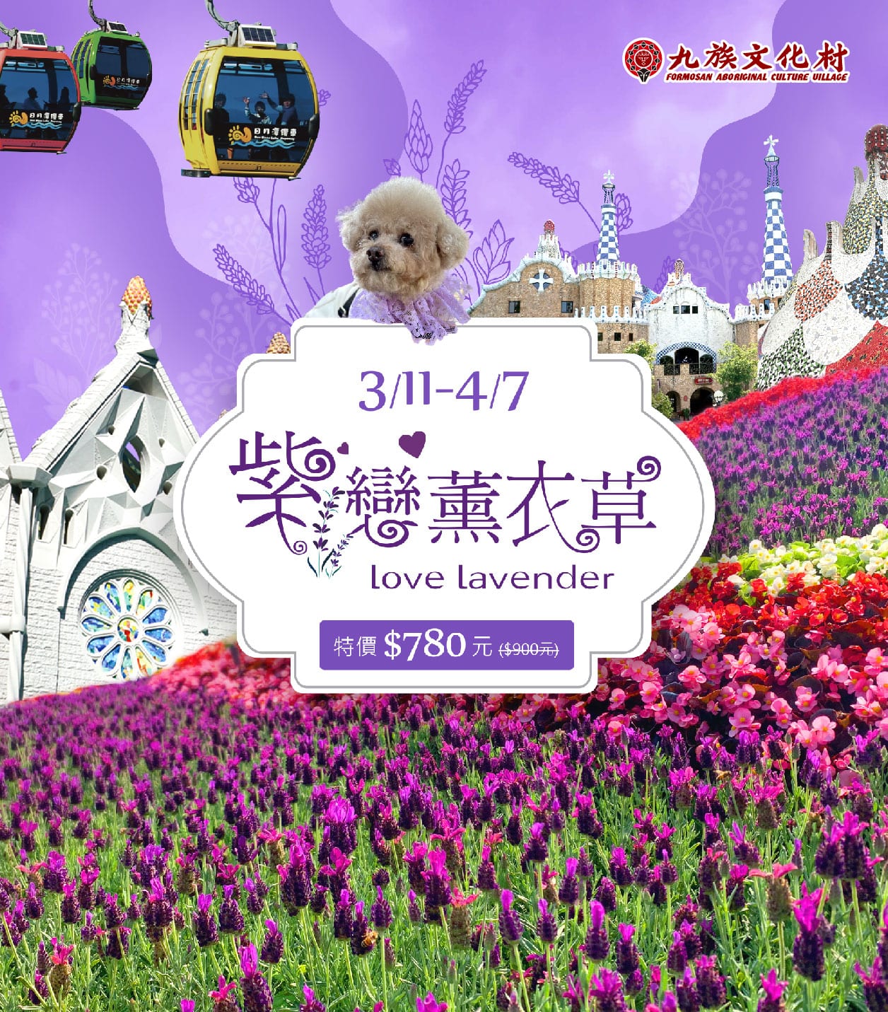 九族文化村薰衣草季開幕，上萬株紫色花海美不勝收！