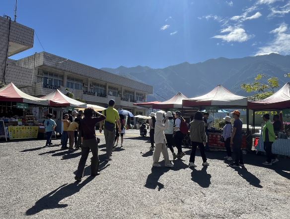 「傳說中的紫斑蝶毯」再現茂林，隨著天氣回溫成群飛舞！