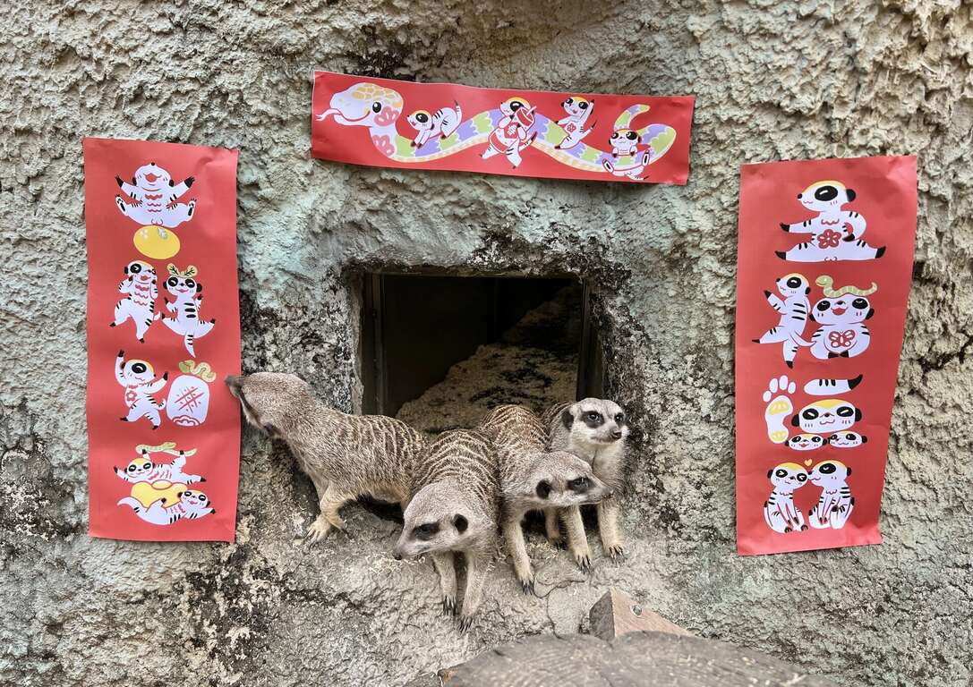 萬獸創意圍爐迎新春 壽山動物園加碼贈好禮