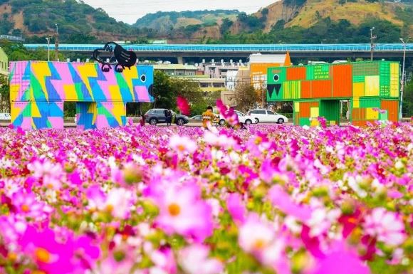 花田怪獸免費拍！ 「2023花現龍井」必拍絕美波斯菊花海+超萌彩繪貨櫃怪獸同框