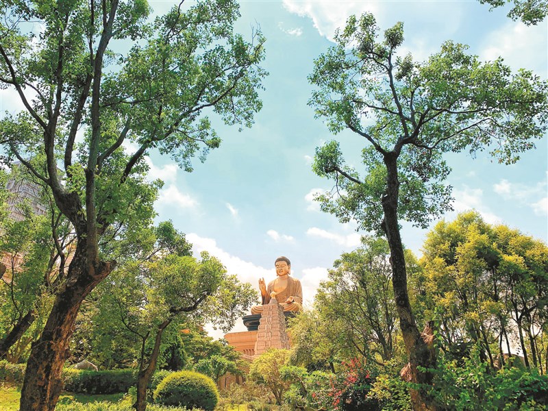仲夏節微笑南灣展館聯合推廣