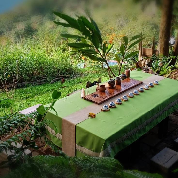高雄山茶文化品味之旅！「茶席體驗」邀您走進原生山林韻味