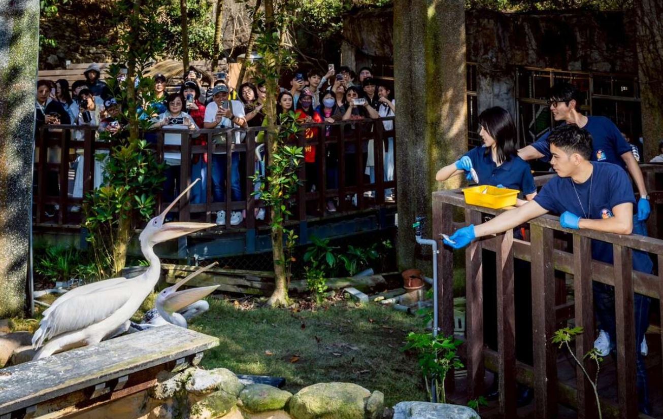 Disney+影集《動物園》2月20日全球首播｜壽山動物園取景打造台灣首部動物園職人劇，邵雨薇、王柏傑、李淳主演
