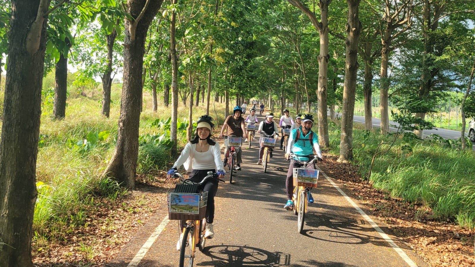 打造南臺灣綠色旅遊示範帶，串聯大武山與大鵬灣，綠意盎然的旅程