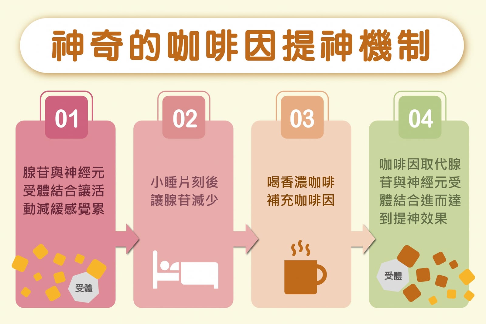 「喝咖啡提神」要看時間!醫曝「關鍵1件事」:喝錯反而更想睡