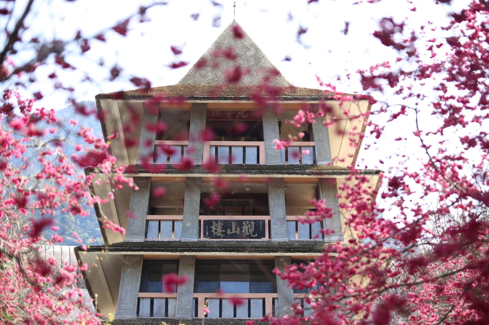 賞櫻季節來臨，日月潭最美的粉色夢幻美景等你來發現
