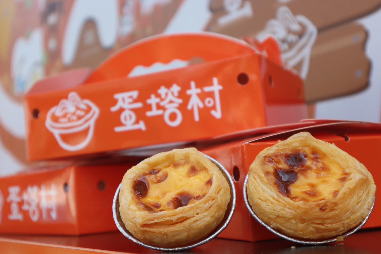 阿里山四季茶旅夏季茶會：台灣仲夏節主場盛事
