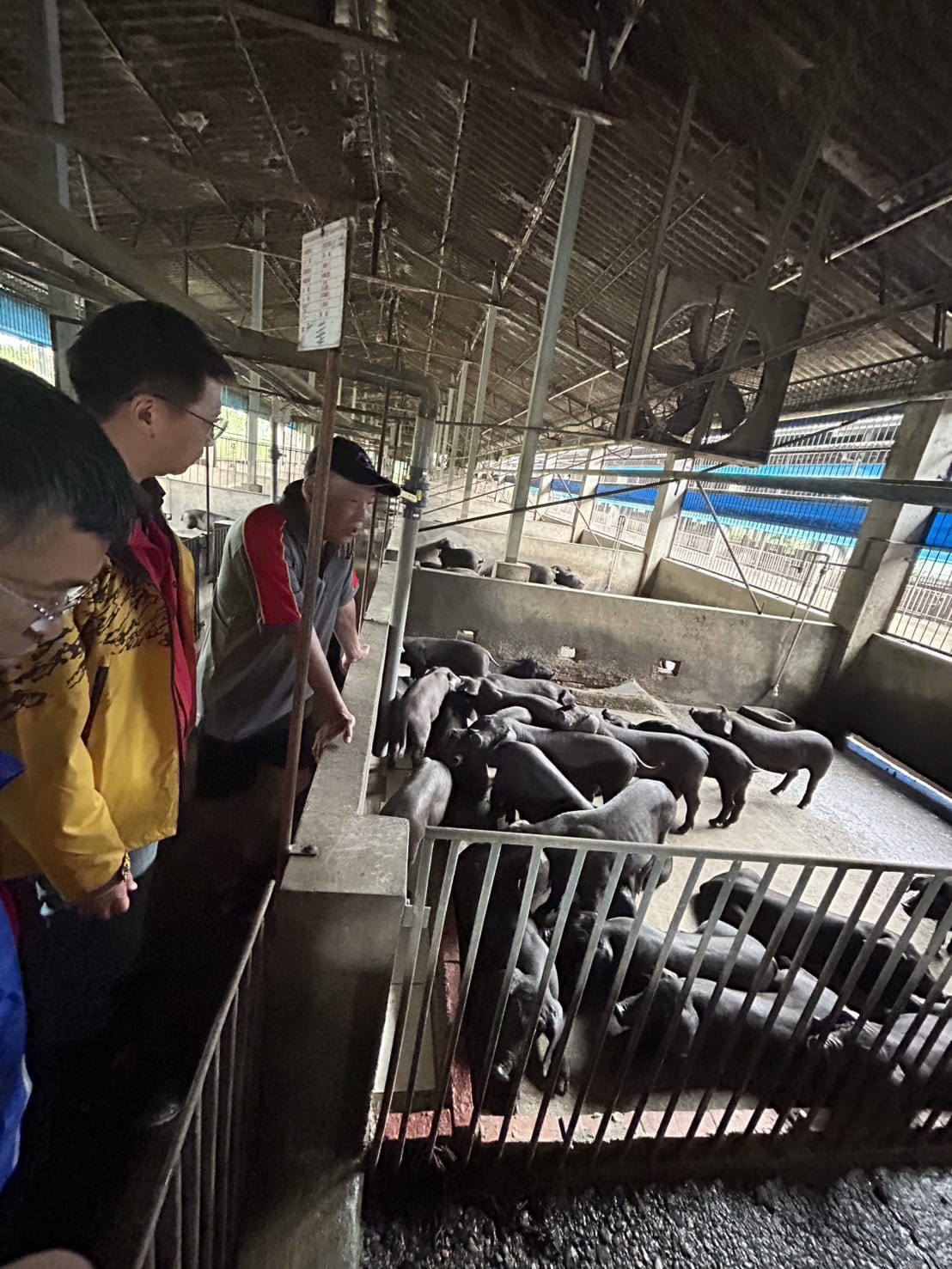 6月豪雨連連造成屏東農損，縣府爭取農業部天然災害救助全品項免勘