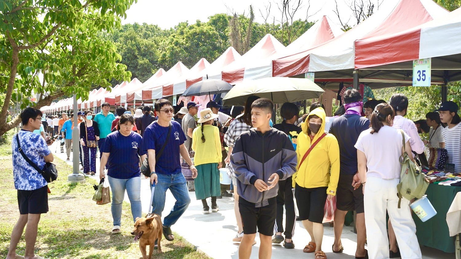 二手市集挖寶引爆人潮，萬丹森林公園成環保示範場域