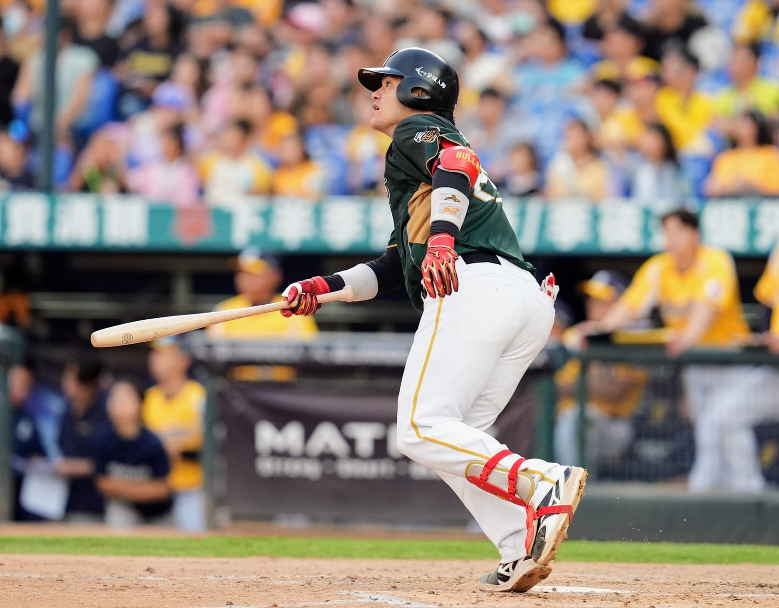 台鋼雄鷹火力全開,8:4擊退中信兄弟,魔鷹與張肇元合力擊出7支安打