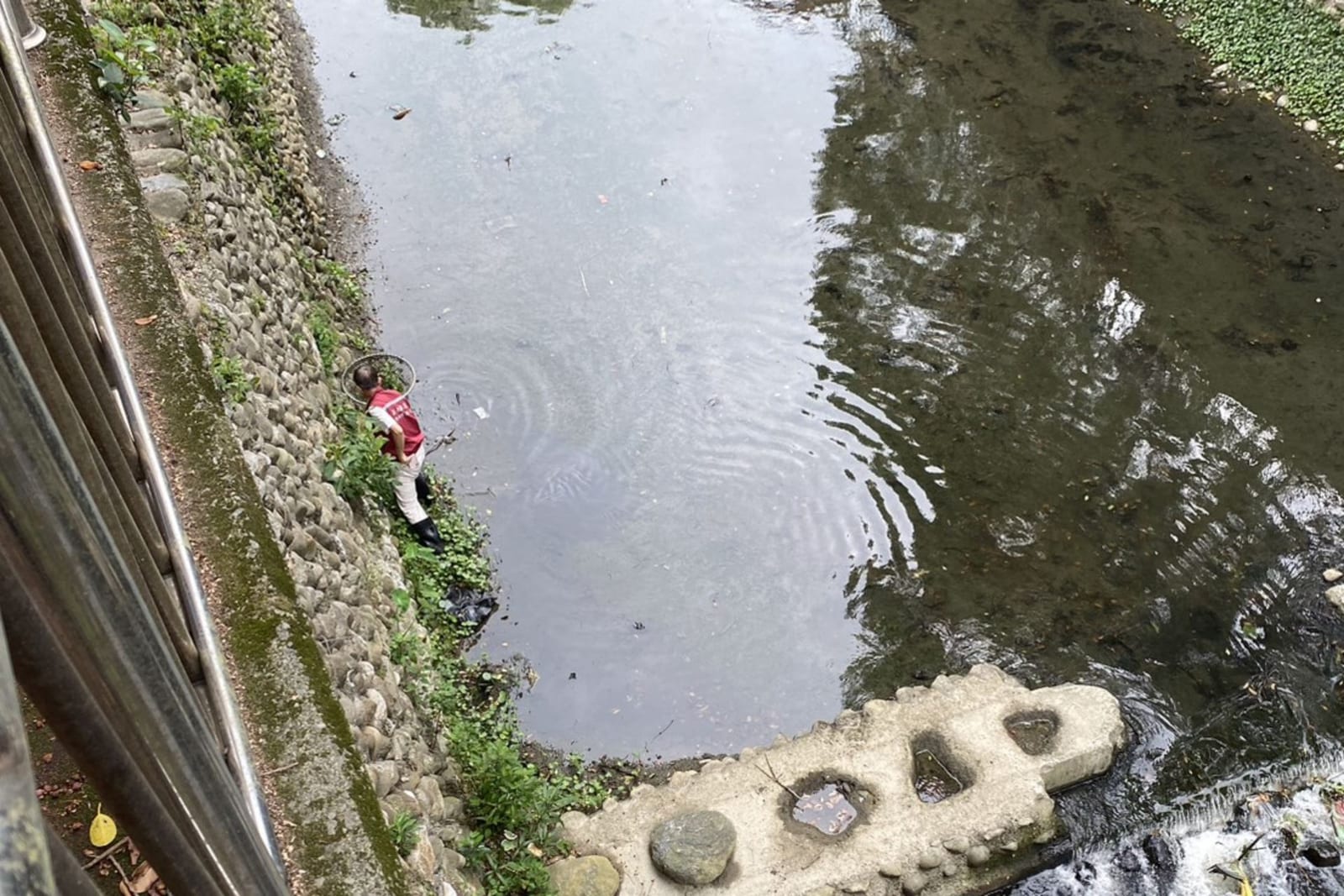 小黑幼犬跌落深溝驚險受困，新北動保員垂降救援助牠平安回家