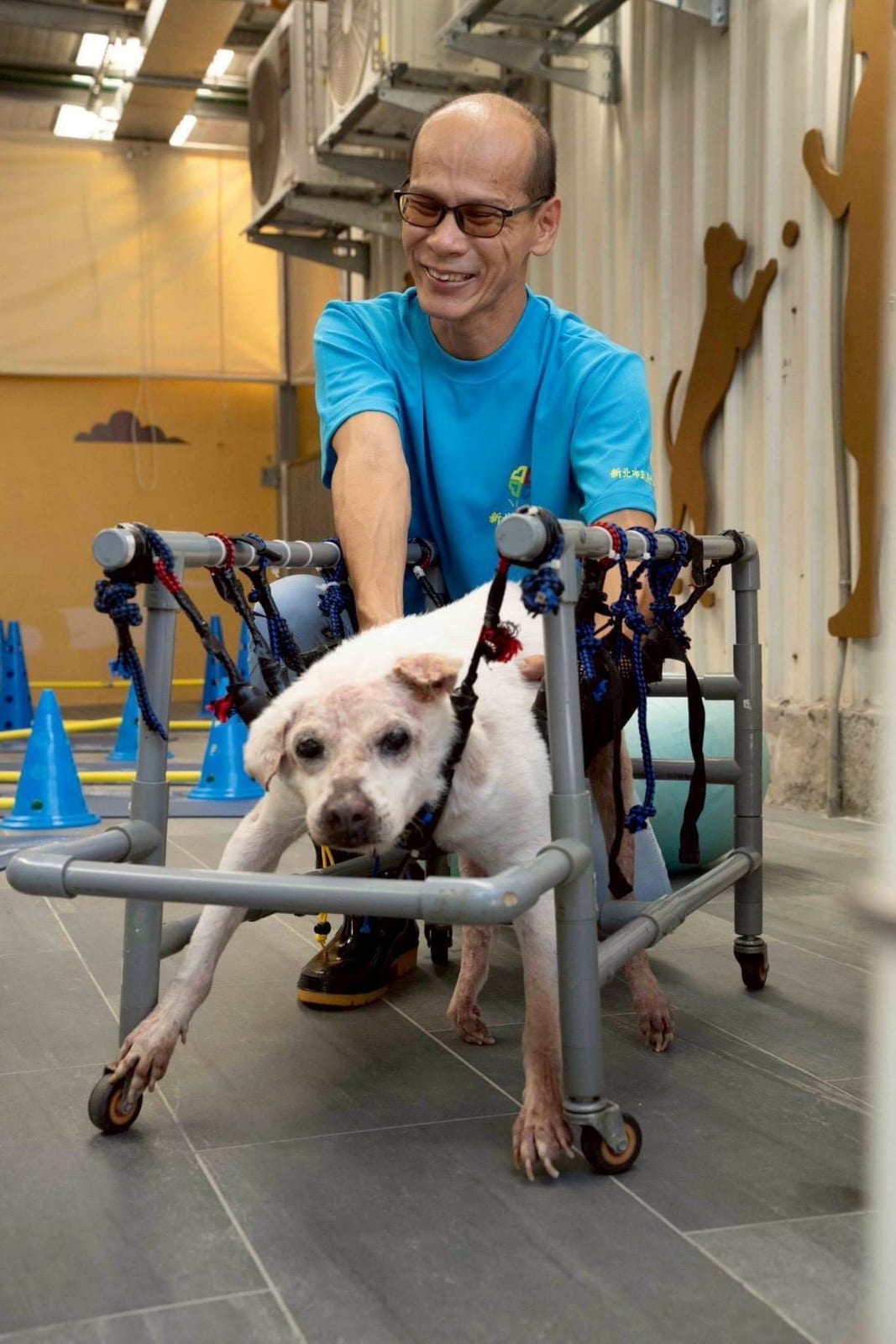 新北中和動物之家升級全國首座動物長照園區，陪伴高齡毛寶貝安心迎向幸福生活