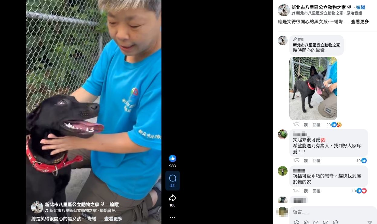 給彼此30天認識的時間，八里動物之家陪新手飼主安心迎接毛孩