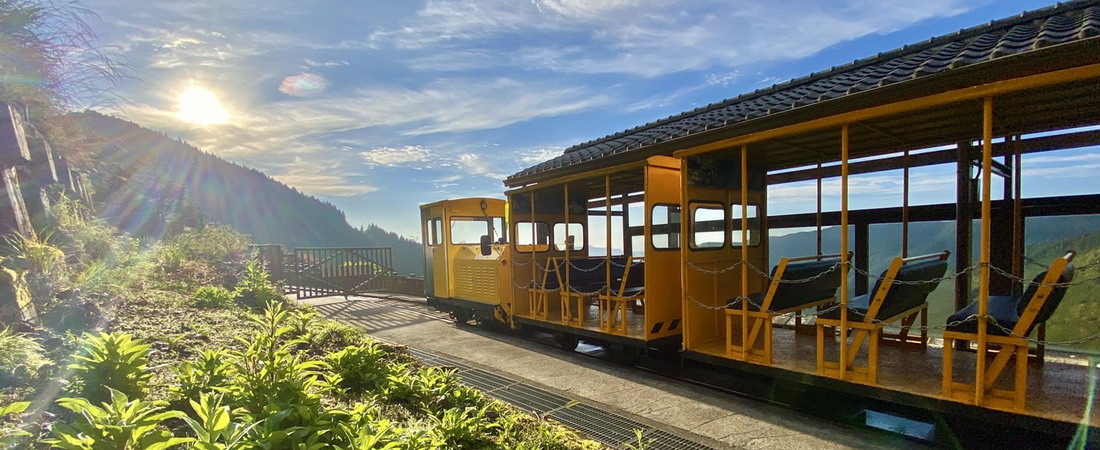 太平山國家森林遊樂區揭曉2024春節最佳旅遊指南