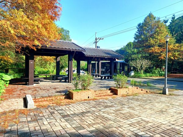 南港「麗山農民廣場」驚豔登場!落羽松煥發炫目紅光,與雙心跳石、秘境步道交織出悠揚流水聲的奇妙畫面