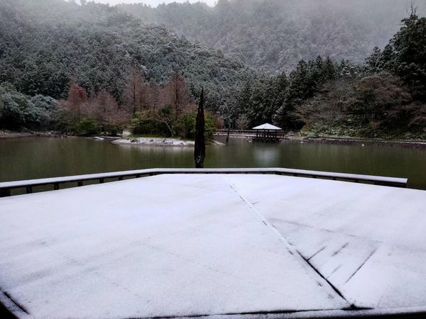 冬日仙境!明池淨雪 銀白神木園積雪5cm美不勝收