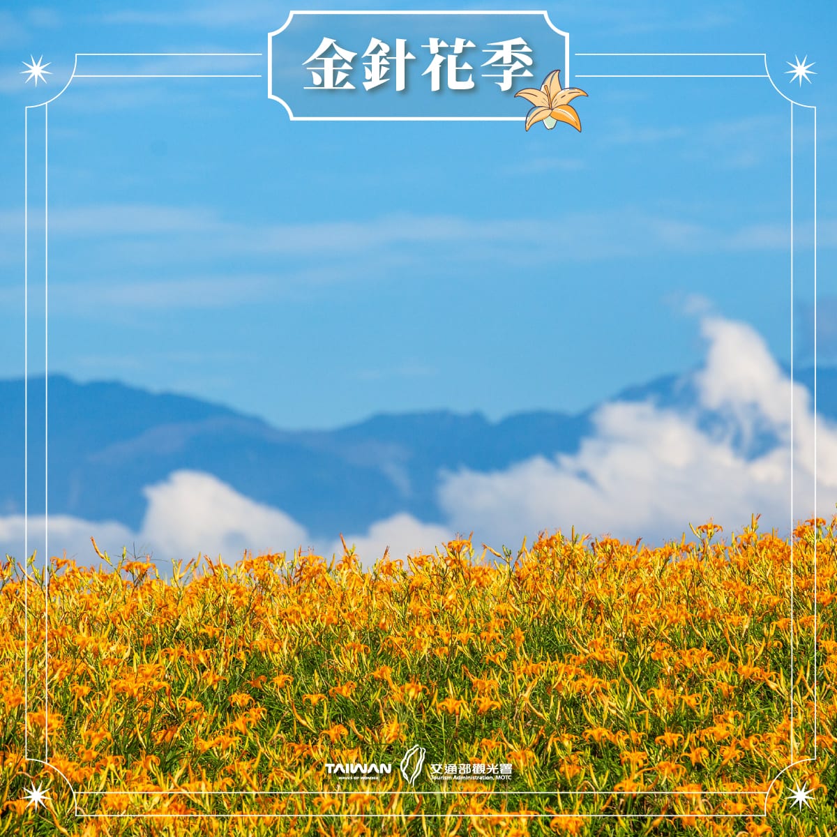 花蓮金針花季浪漫登場,夢幻黃金花海迎夏限定活動