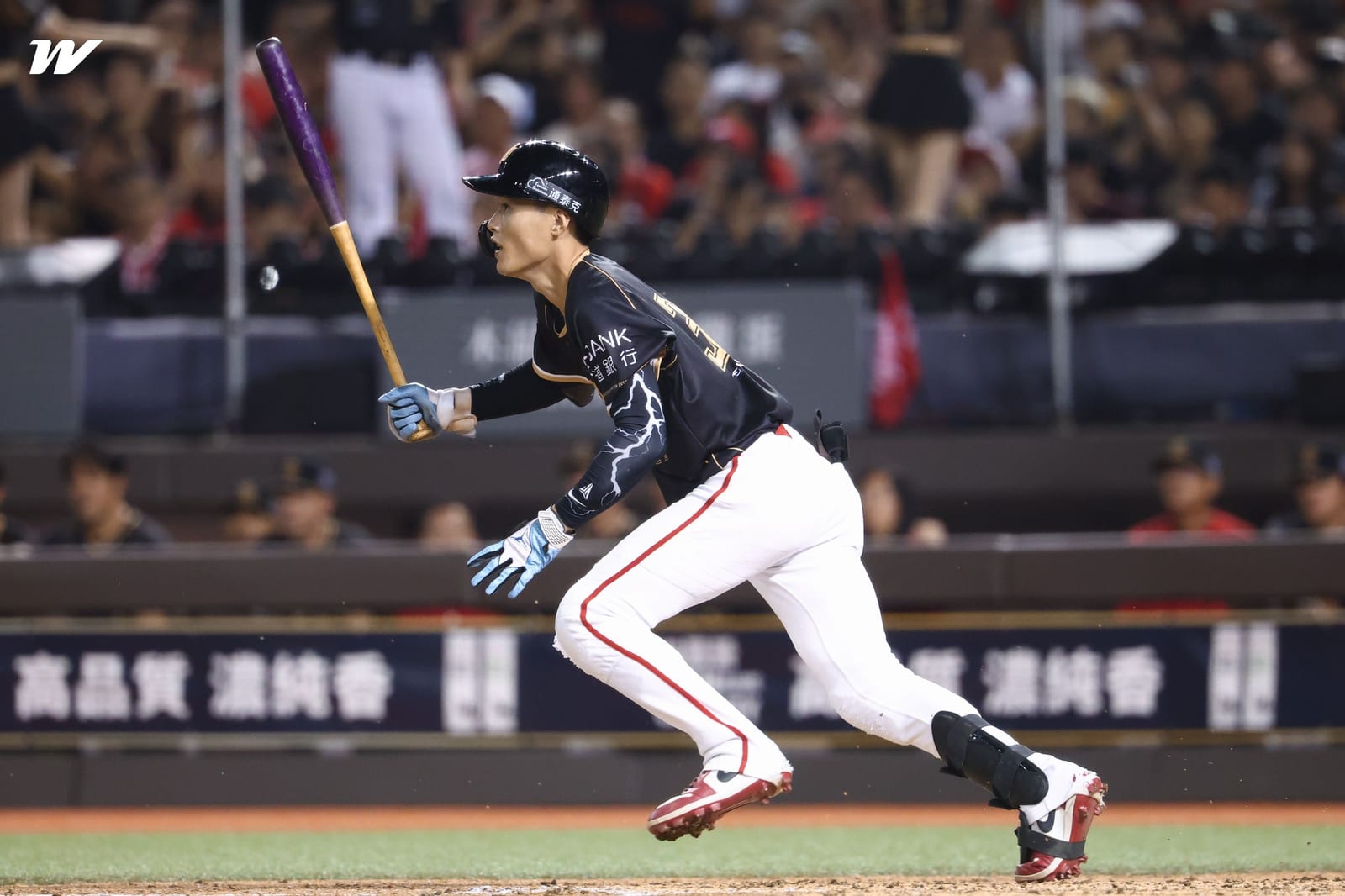 林智勝引退系列賽，味全龍攻守俱佳 3：1擊退雄鷹