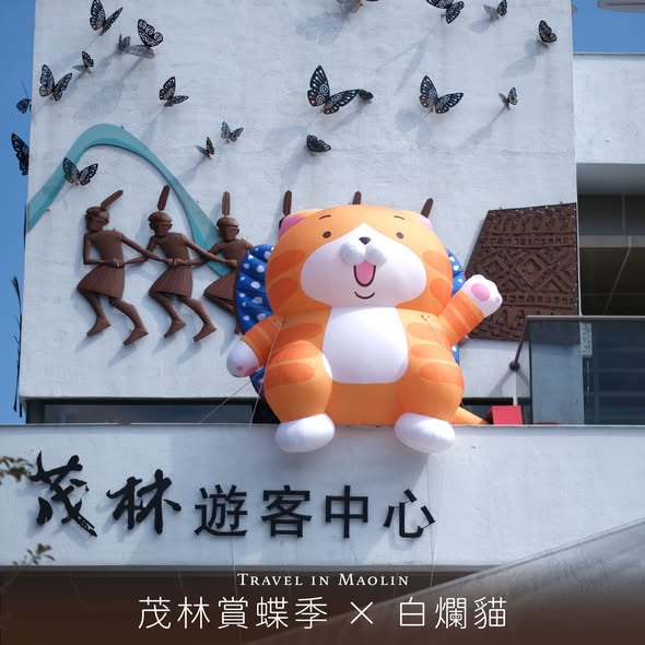 2026 新年第一趟療癒旅程 | 跟著白爛貓飛進茂林，走讀部落、賞蝶迎新春