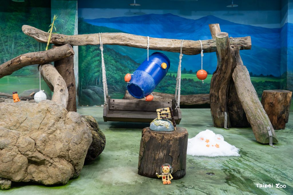 圓寶6歲生日變身太空熊，歡樂探索星球大餐迎接夏日新旅程