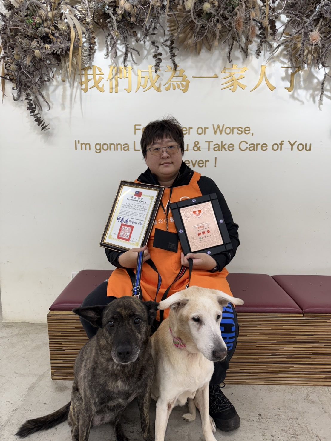用陪伴為毛孩點亮希望，北市動物之家志工獲志願服務金銀銅獎肯定