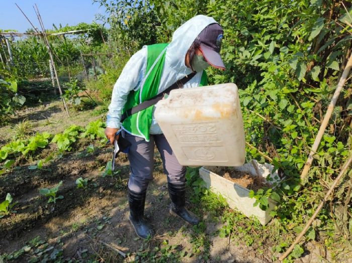 屏縣呼籲民眾持續落實「巡、倒、清、刷」 有效防治登革熱疫情