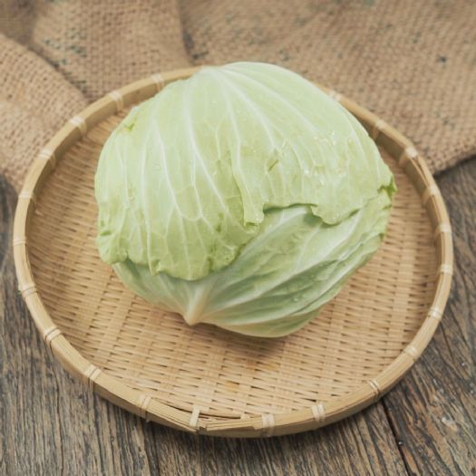 高麗菜清洗秘訣大揭密!剝掉老葉不再擔心蟲卵與農藥殘留