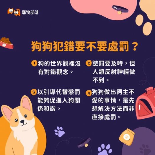 "寵物處罰:揭開懲罰愛犬背後的人類觀念迷思"
