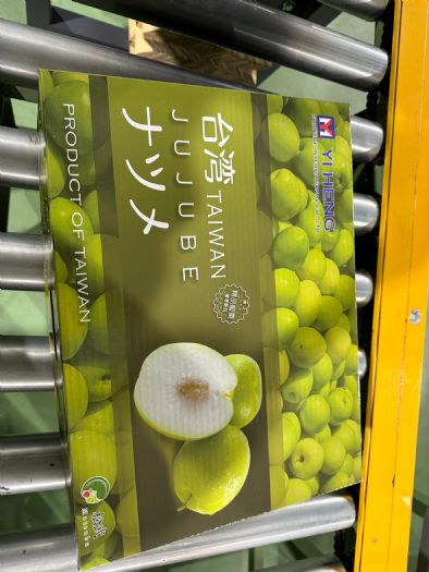 2024年屏東蜜棗鮮採集貨進行低溫檢疫 1月下旬外銷日本批發市場