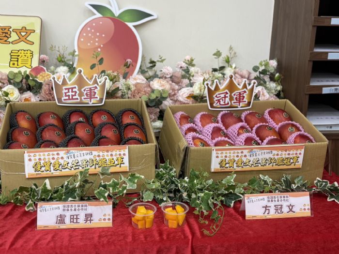 114年屏東縣優質愛文芒果評鑑揭曉，冠軍方冠文再創佳績，屏東芒果季歡迎全台熱情選購
